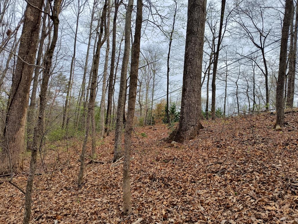 M99 Sleepy Hollow Road