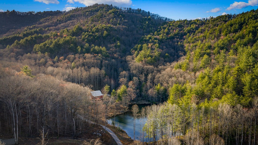 Blue Ridge, Georgia, 30513, United States, 3 Bedrooms Bedrooms, ,3 BathroomsBathrooms,Residential,Active,2025997