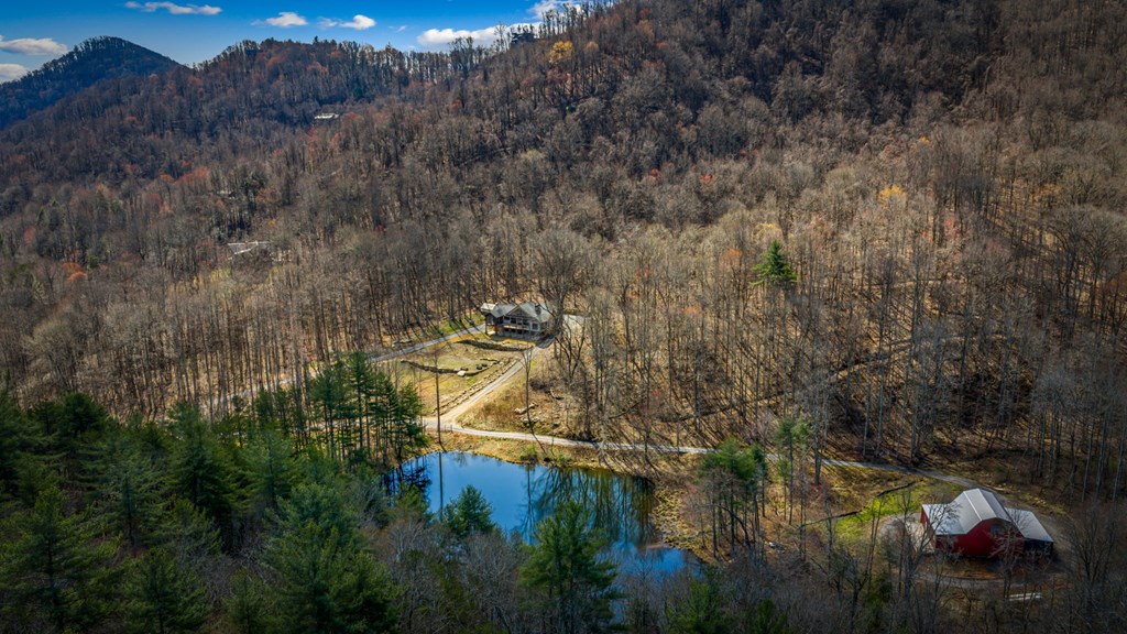 Blue Ridge, Georgia, 30513, United States, 3 Bedrooms Bedrooms, ,3 BathroomsBathrooms,Residential,Active,2025997