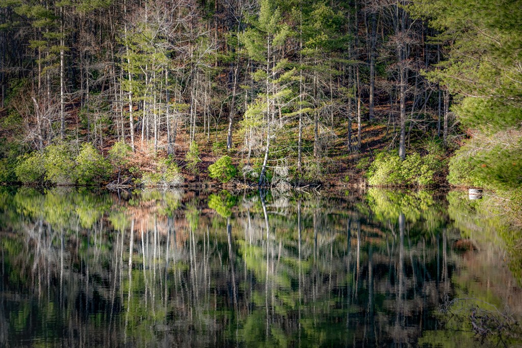 120 Cohutta Ranch Road