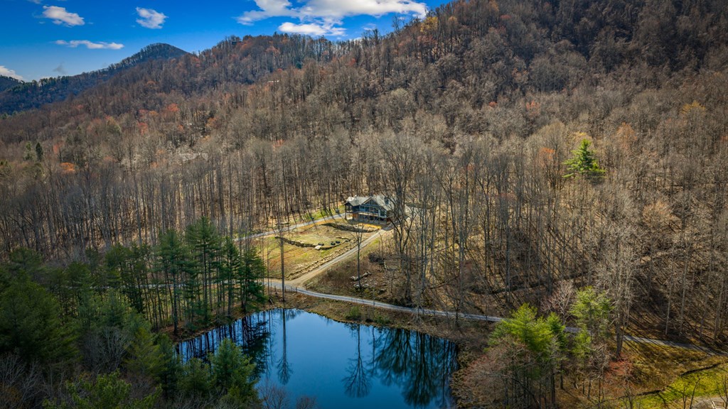 Blue Ridge, Georgia, 30513, United States, 3 Bedrooms Bedrooms, ,3 BathroomsBathrooms,Residential,Active,2025997