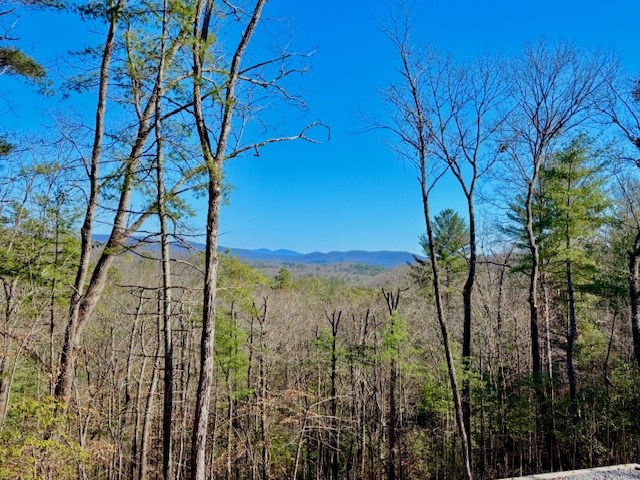 Lot 28 Bill Claypool Drive