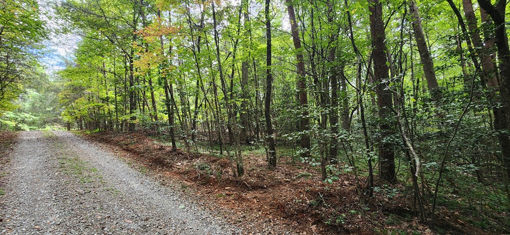 lt 42-43 Old Mill Pond Road