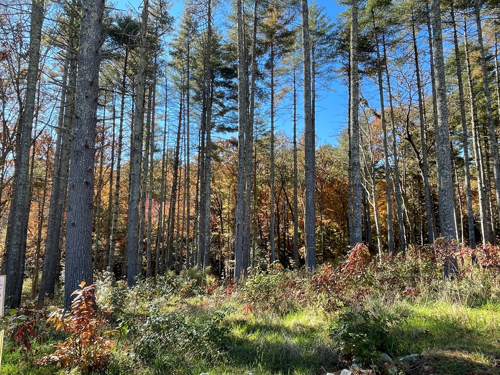 Lot 173 Highland Park