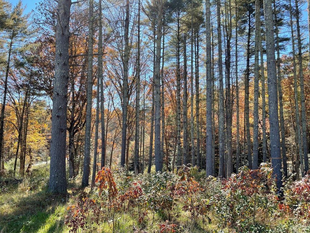 Lot 173 Highland Park