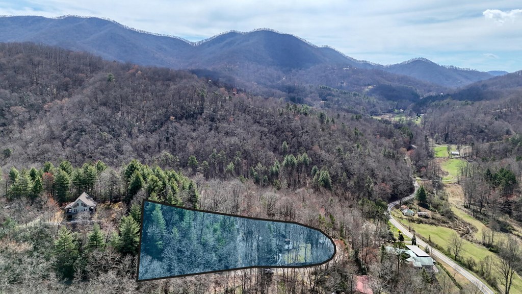 124 Cold Branch Lane
