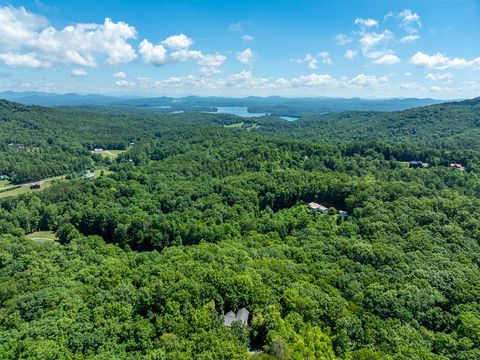 A home in Blue Ridge