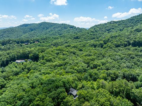 A home in Blue Ridge