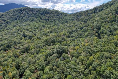 A home in Hayesville