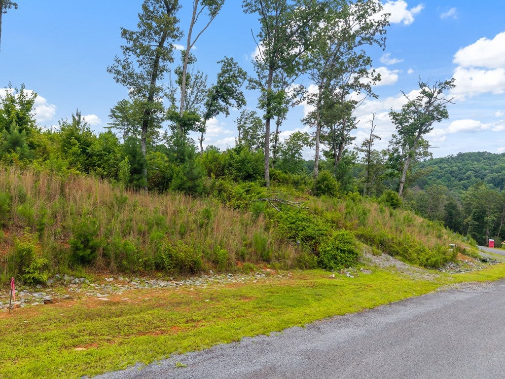 Lot 84 Jakes Landing Way