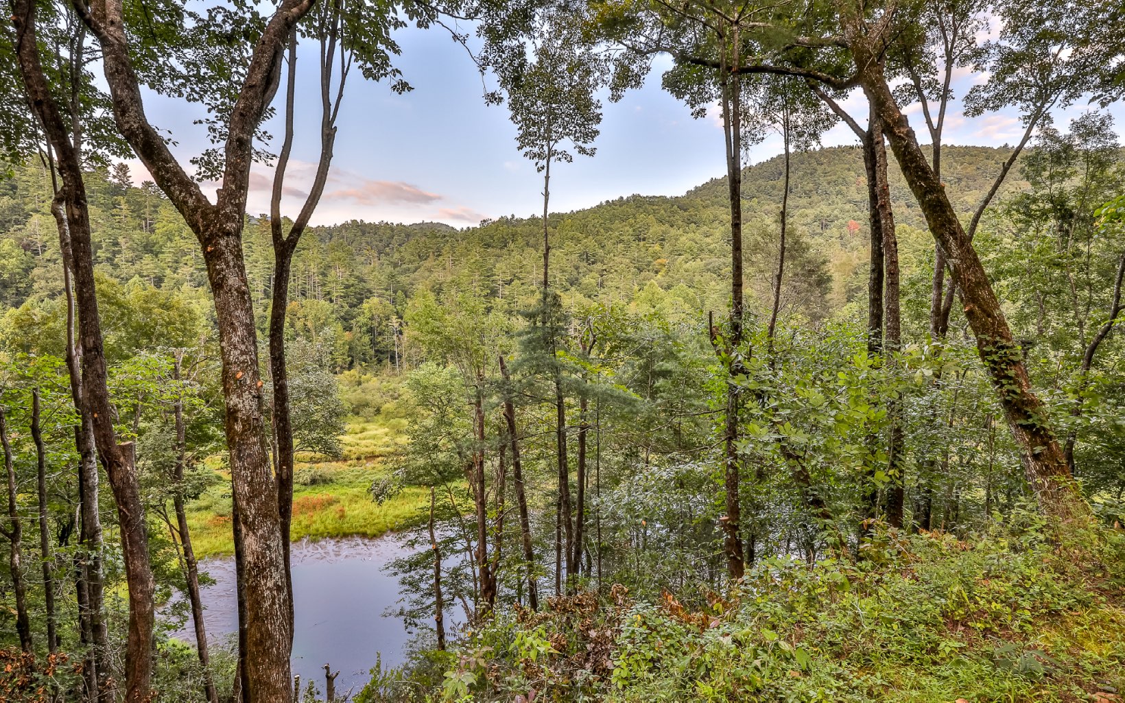 381 Cohutta Wilderness Trail