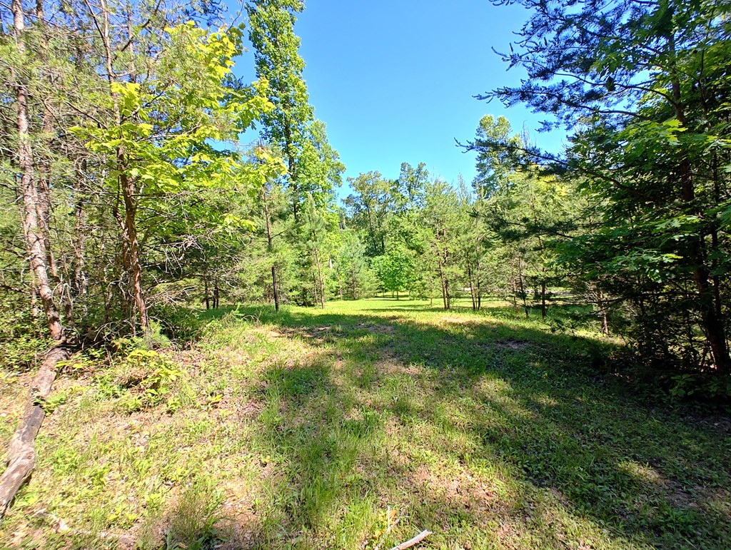 11 & 12 Cabin Run Lane