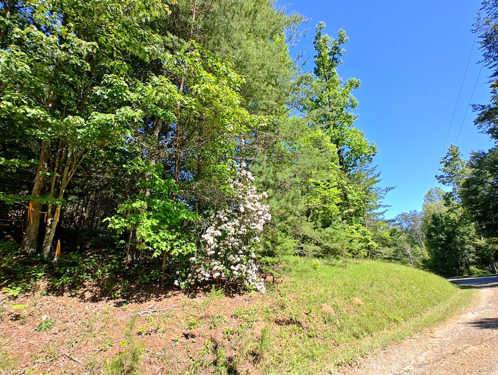 11 & 12 Cabin Run Lane