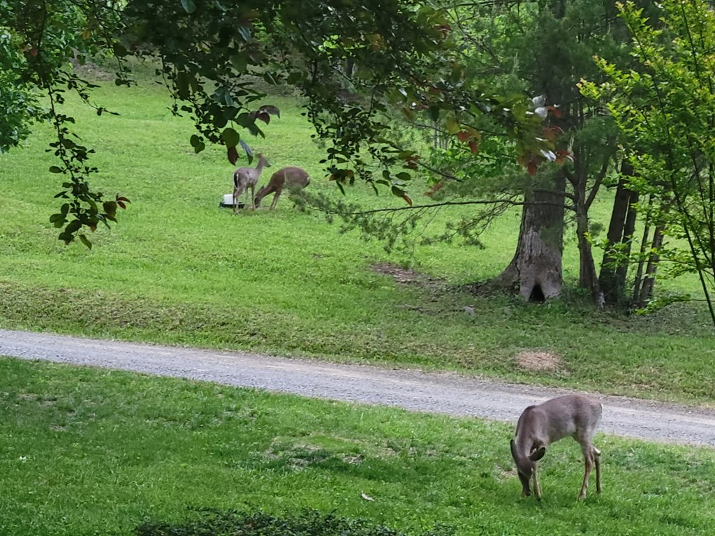 11 & 12 Cabin Run Lane