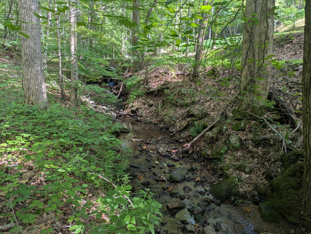 1249 Trackrock Gap Road