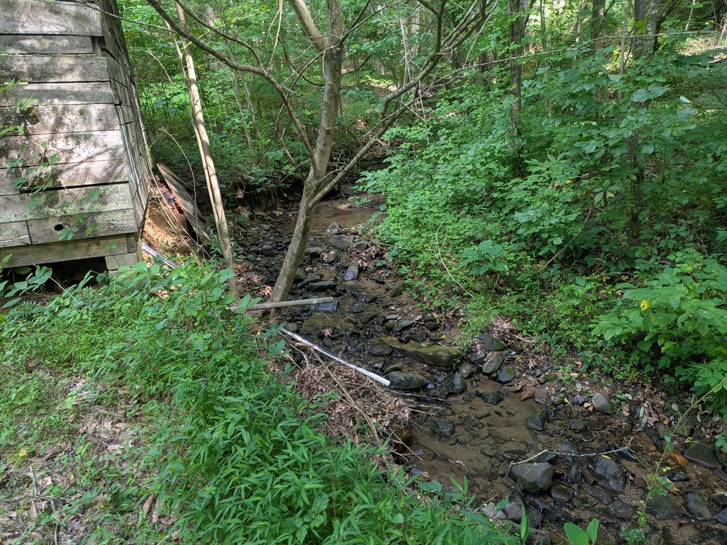 1249 Trackrock Gap Road