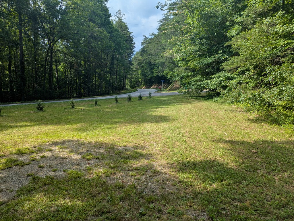 1249 Trackrock Gap Road