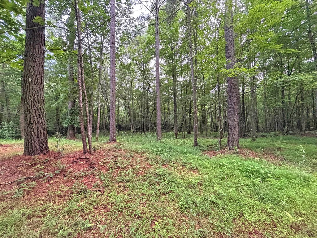 20AC Yonder Way