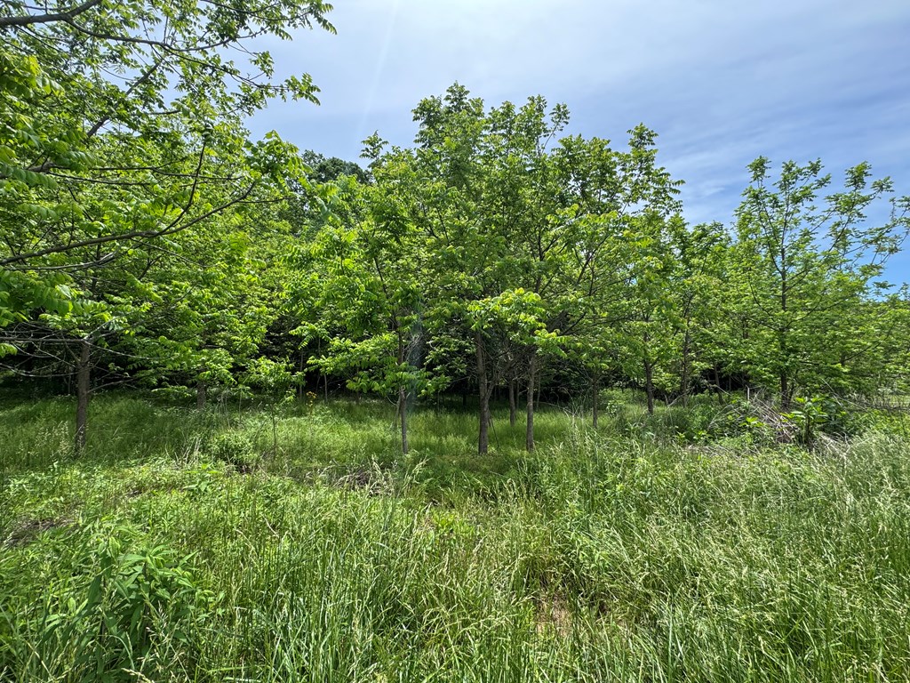 Lot 3 Still Meadows Court