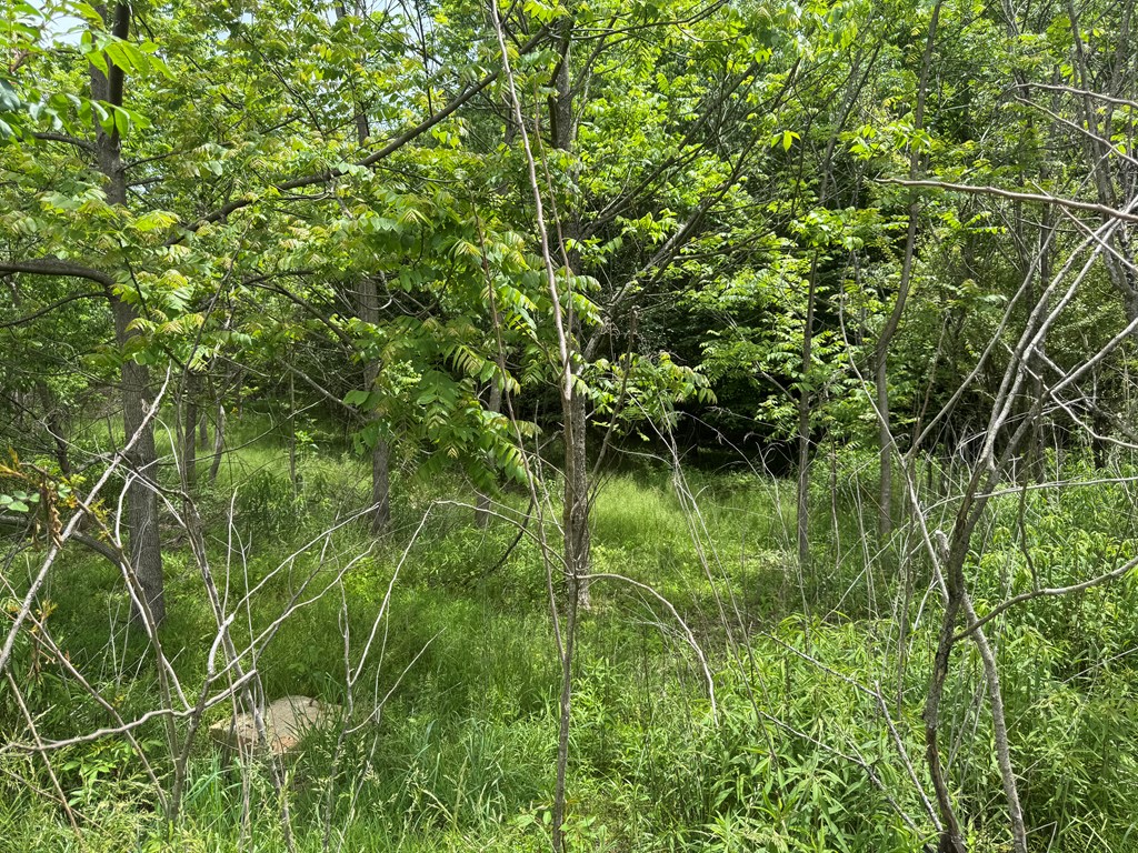 Lot 3 Still Meadows Court