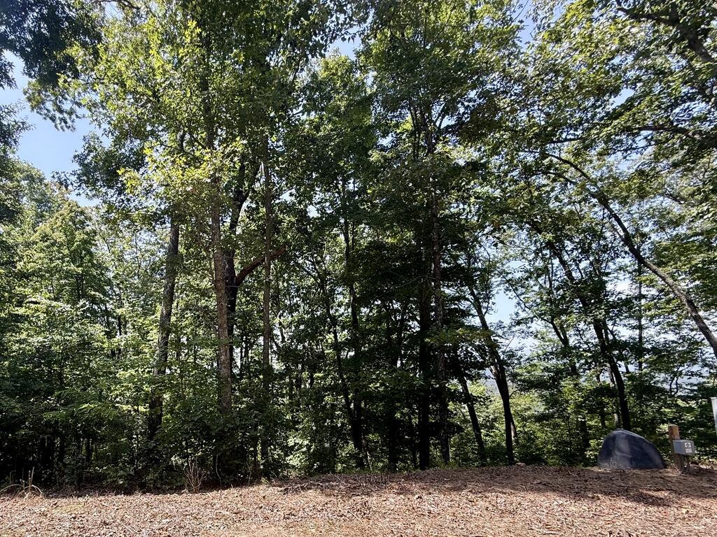 Lot 26 Grand Laurel