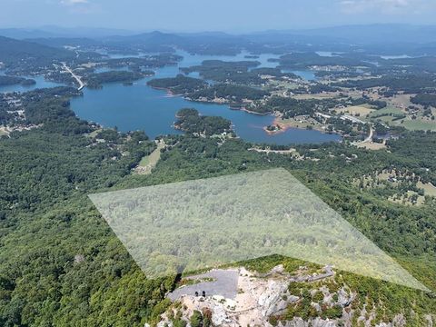 145 Ac. Bell Mountain Hiawassee GA 30546