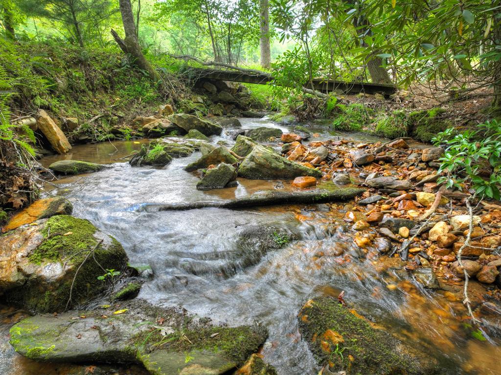 1696 Rocky Top Road