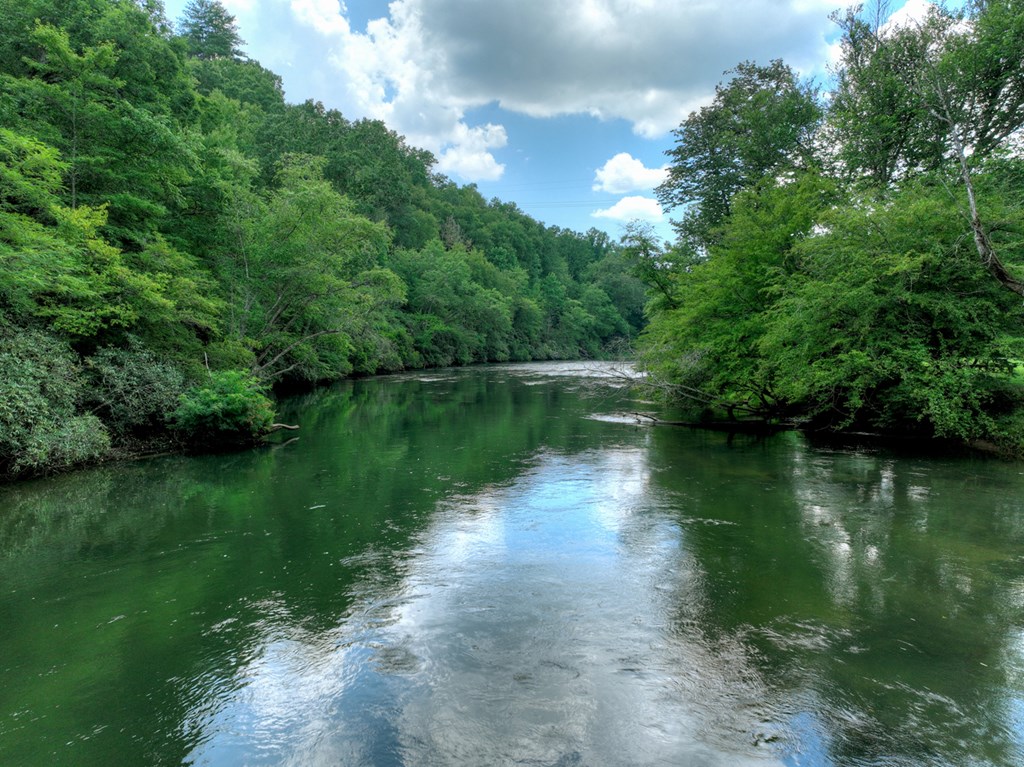 588 Blackberry Drive