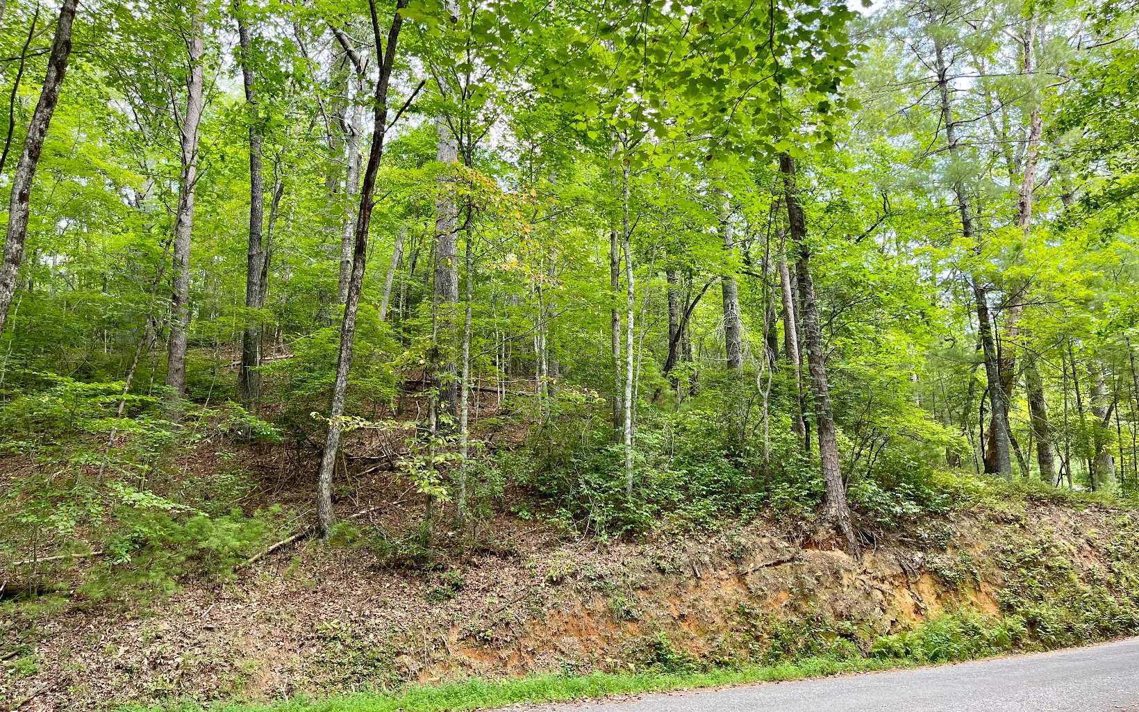 3.85 AC Old Aska Road S