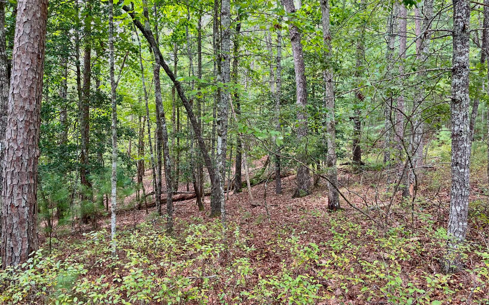 3.85 AC Old Aska Road S