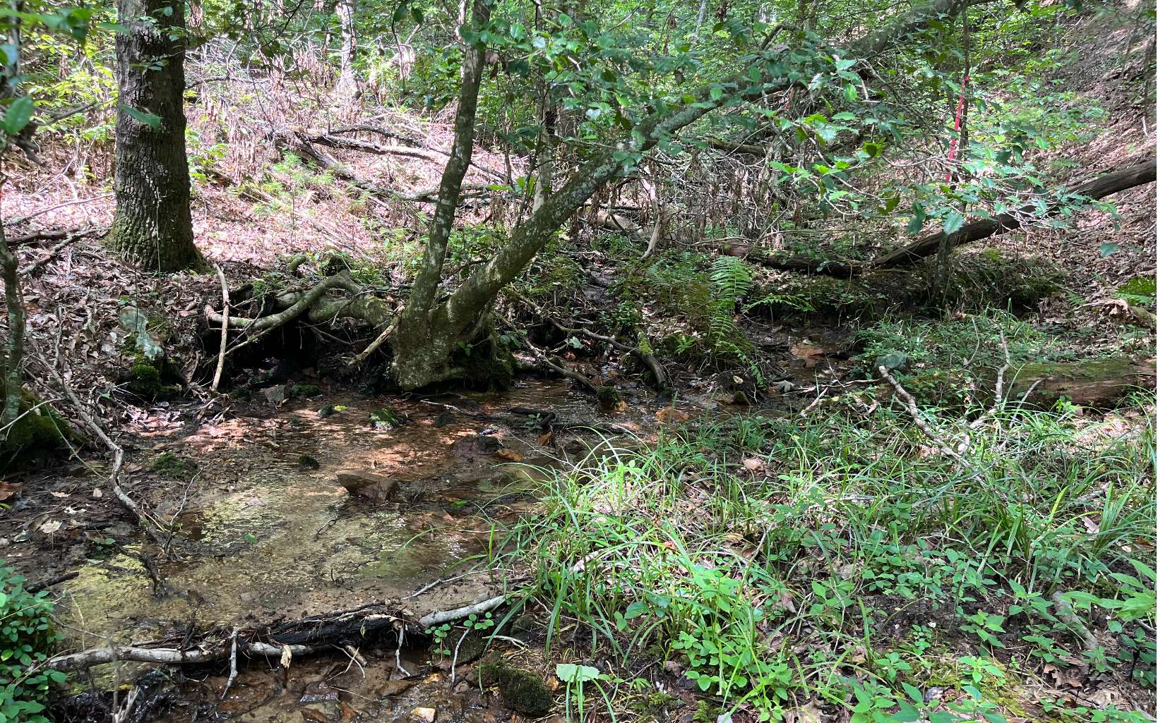 3.85 AC Old Aska Road S