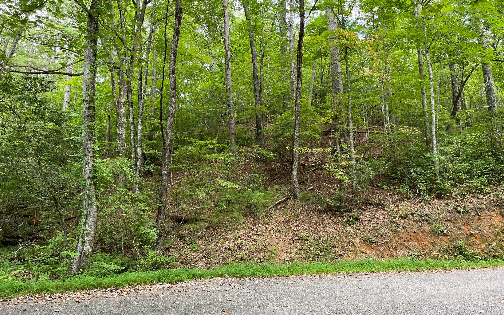 3.85 AC Old Aska Road S