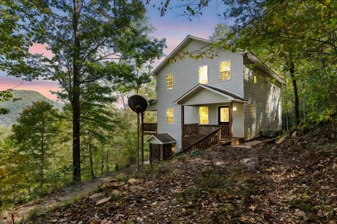 20 Eagle Heights Hiawassee GA 30546