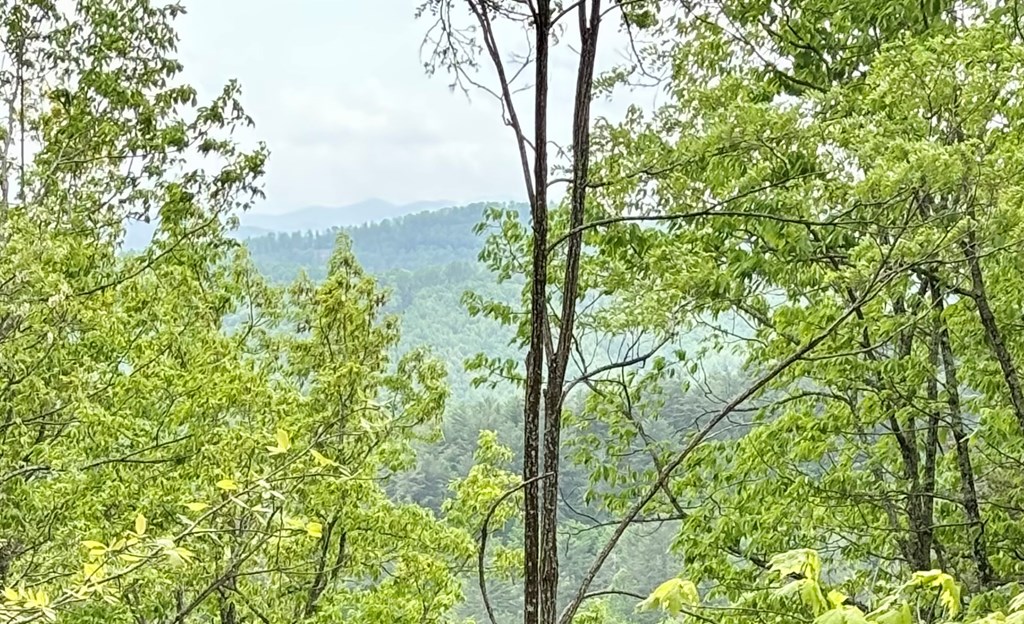 Lot 4-25 Sahkanaga Drive