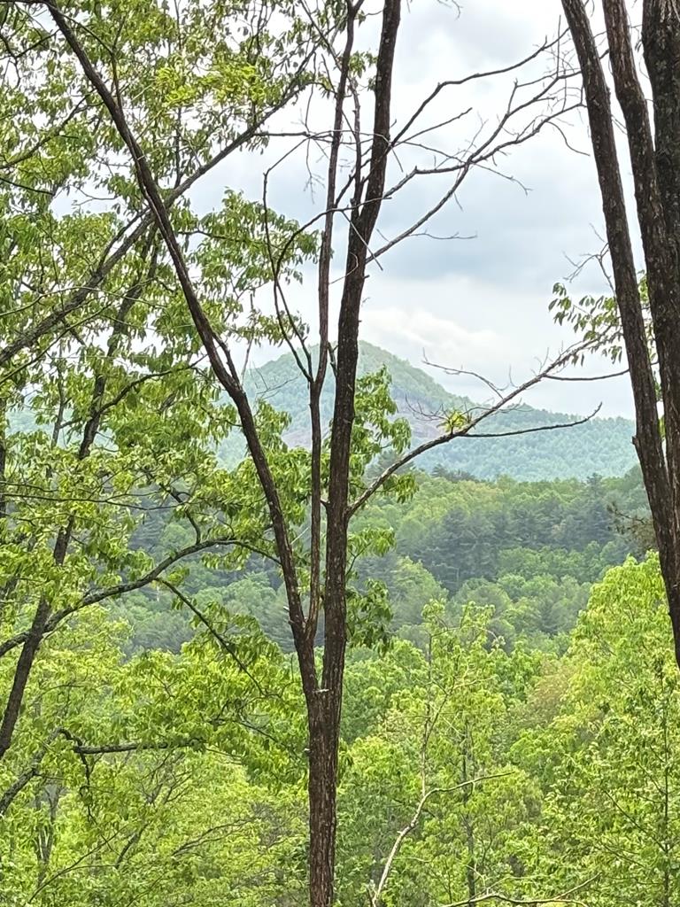 Lot 4-25 Sahkanaga Drive