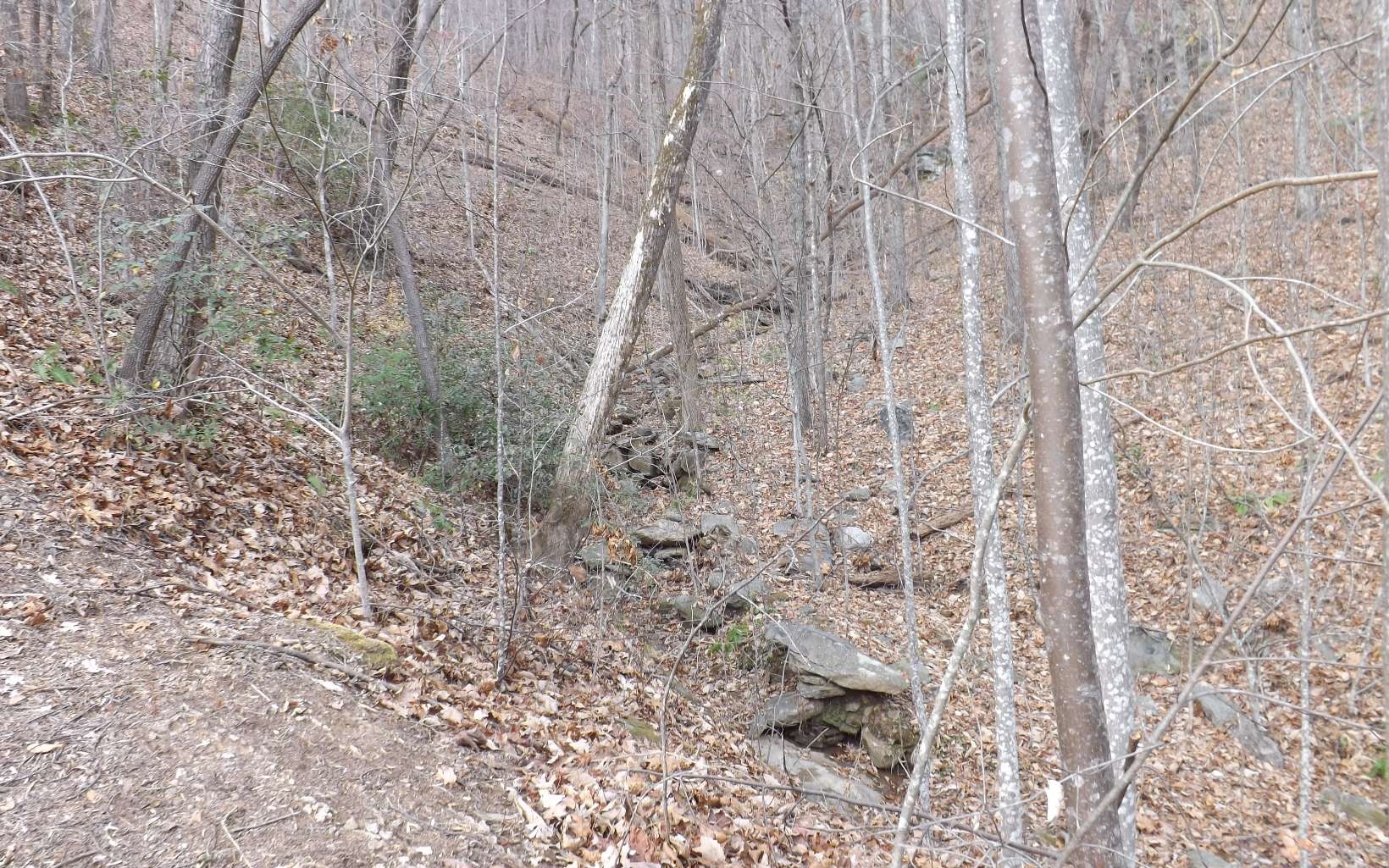 Eastview Eastview Lane- Lot M