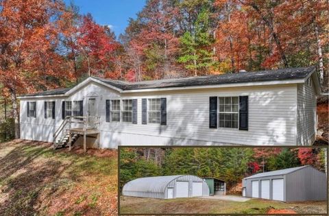 10712 Doublehead Gap Road Ellijay GA 30536