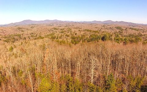 A home in Blue Ridge