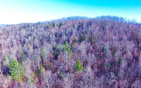 A home in Blue Ridge