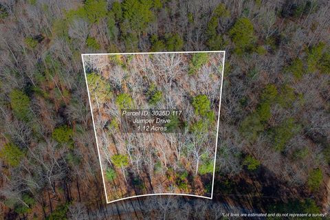 Lot 117 Jumper Drive Ellijay GA 30540