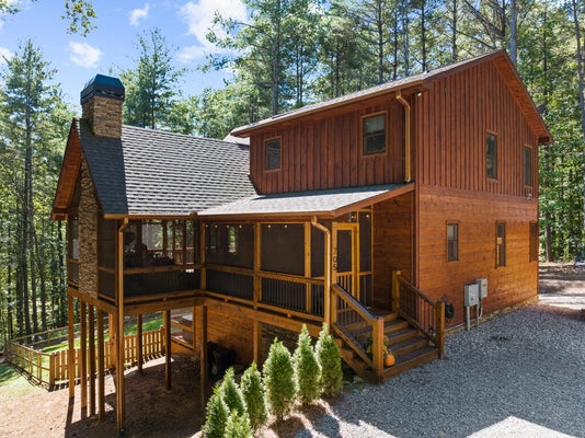 705 GEORGE CURTIS RD, BLUE RIDGE, GA 30513 - Image 08e064d1305e3d2001f0f76bec0e6b8a/3047014417