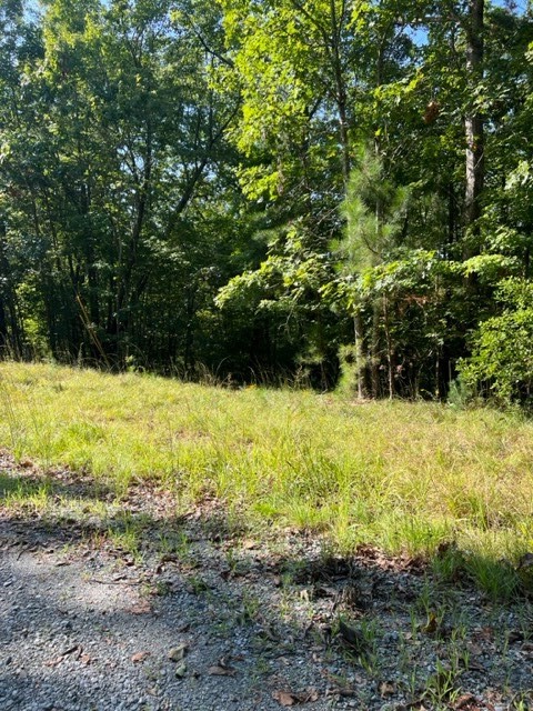 LT 57 Honeysuckle Way