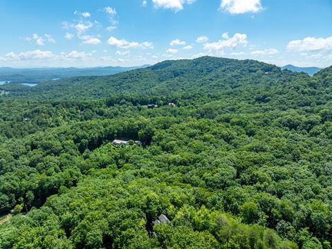 A home in Blue Ridge