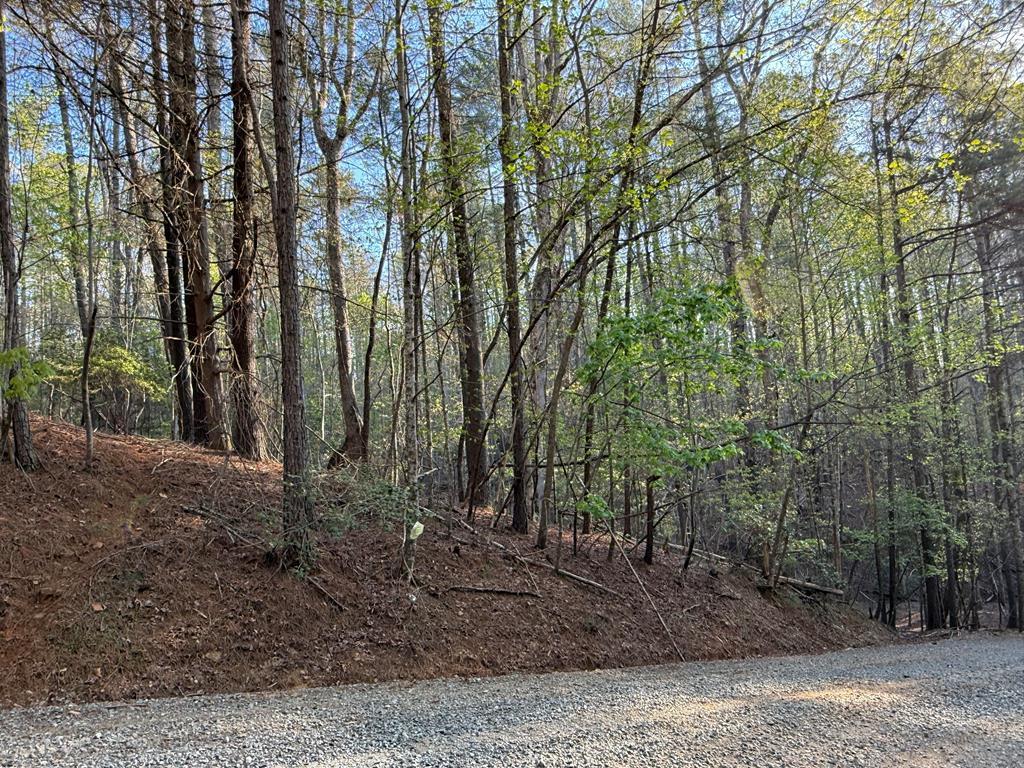 L3675R Fern Drive
