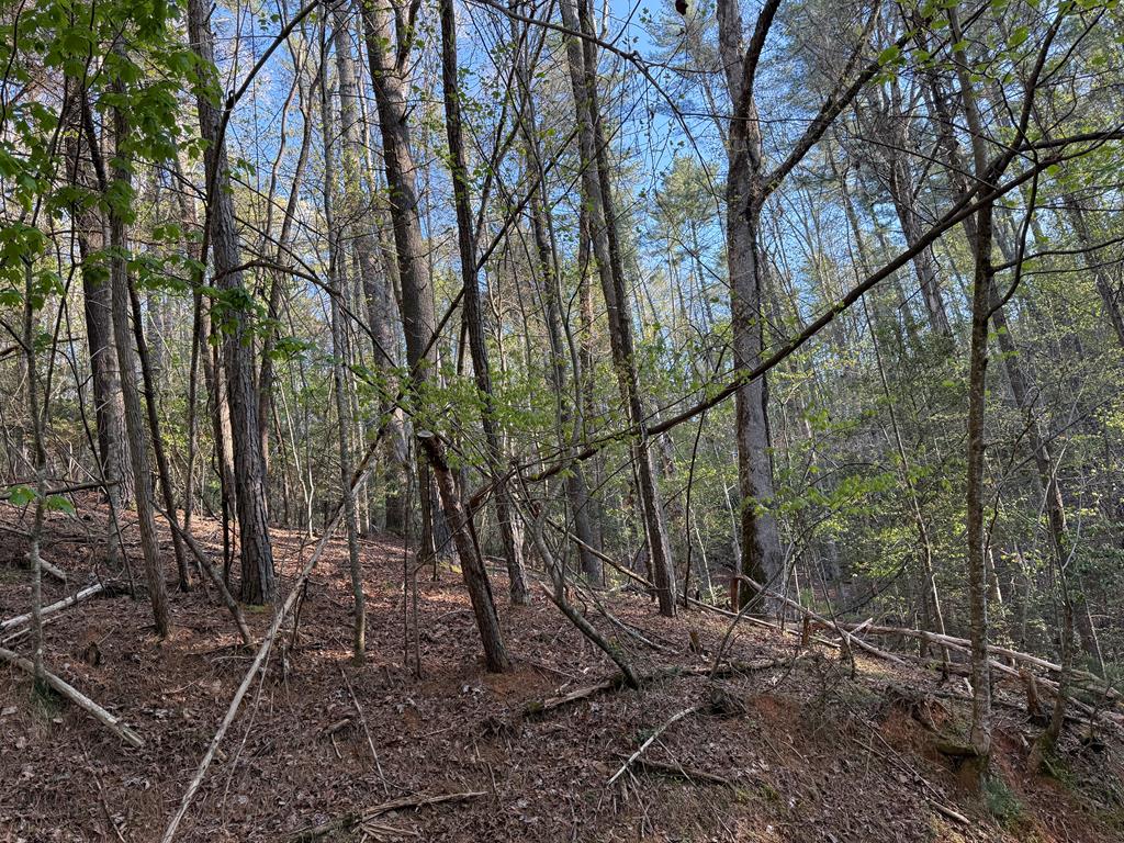 L3675R Fern Drive