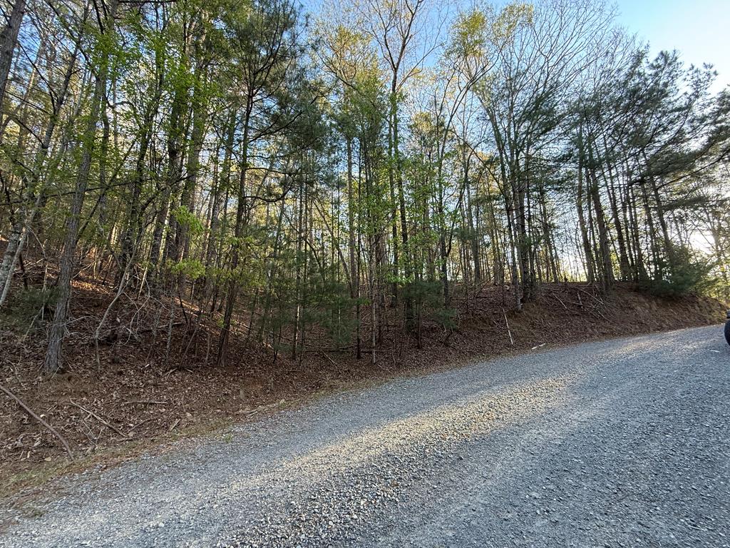 L3675R Fern Drive