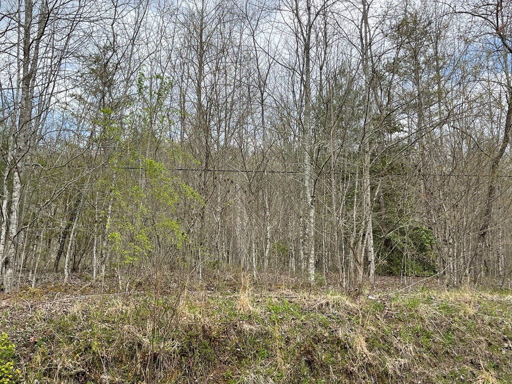 00 Laurel Branch Road