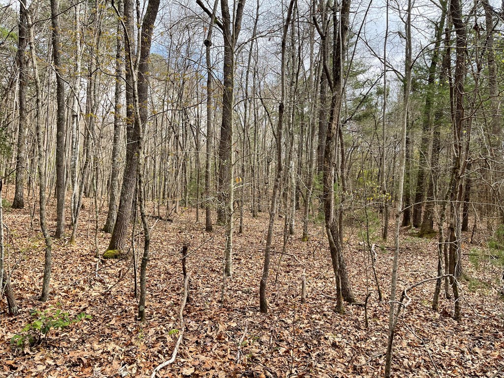 00 Laurel Branch Road