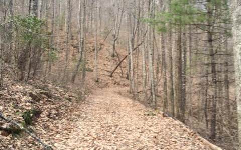 0 Gooch Creek Cove