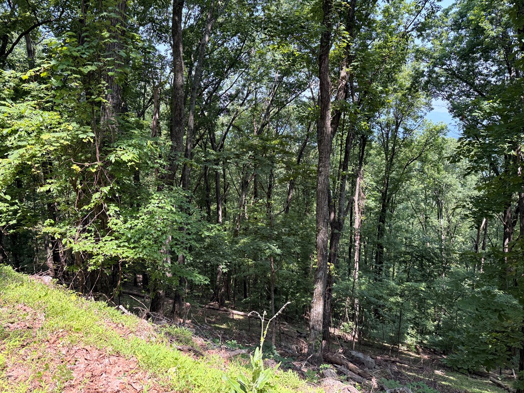 LT M177 Walnut Ridge